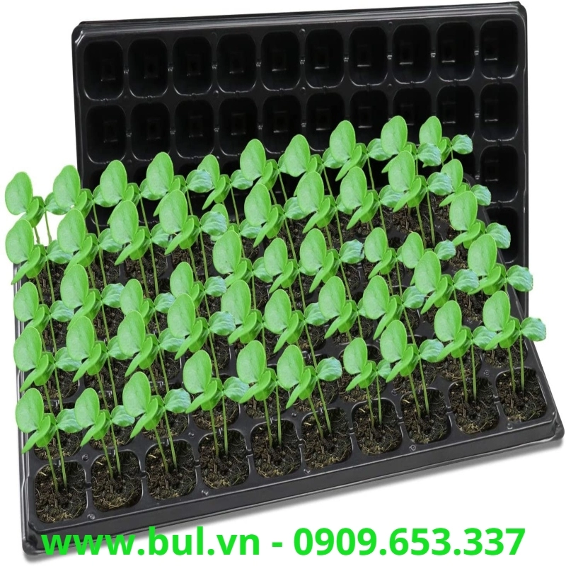 dia chi gia cong do nhua nong nghiep gia si 1 7129 - Khay ươm hạt giống giá rẻ số 1 tại tp HCM